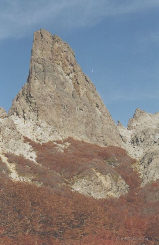 autumn mountain tree trees